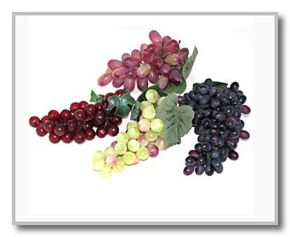 Технология выращивания винограда Технология выращивания винограда