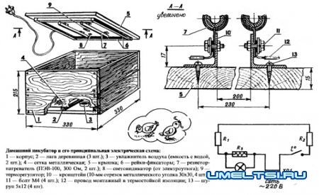 Домашний инкубатор