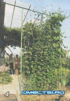 Декоративный бассейн(водоем) на даче отчет мастера