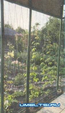 Декоративный бассейн(водоем) на даче отчет мастера