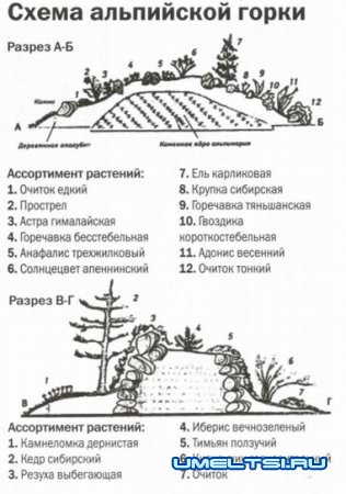 Как создать альпийские горки своими руками