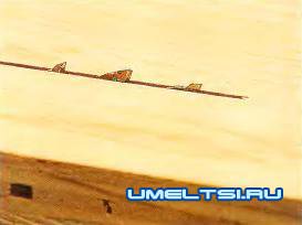 Советы работы на пильном станке Советы работы на пильном станке