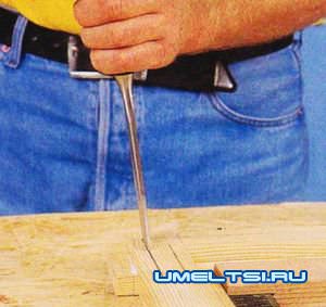 Парник своими руками