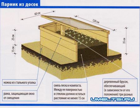 Парник своими руками