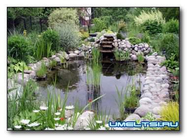 Водоем своими руками