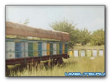 Павильон для пчел Павильон для пчел