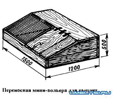 Курятник своими руками Курятник своими руками
