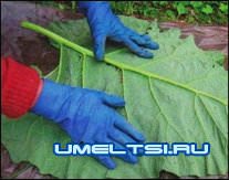 Купальня для птиц Купальня для птиц