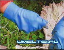 Купальня для птиц Купальня для птиц