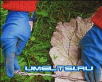 Купальня для птиц Купальня для птиц