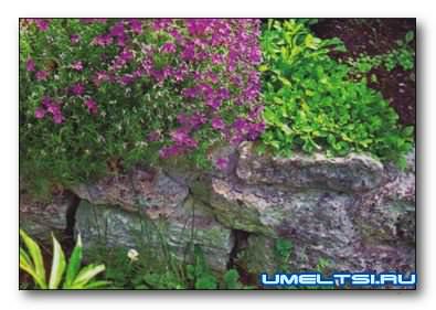 Подпорные стенки Подпорные стенки