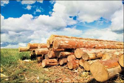 Отделка дома блок-хаусом Отделка дома блок-хаусом