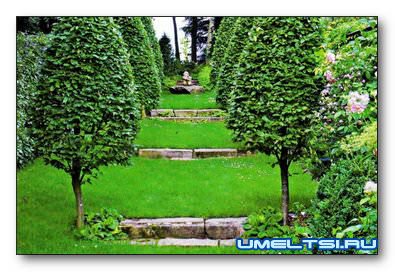 Раз ступенька, два ступенька Раз ступенька, два ступенька