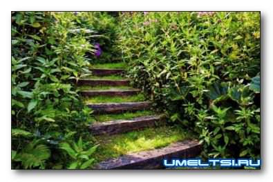 Раз ступенька, два ступенька Раз ступенька, два ступенька