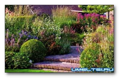 Раз ступенька, два ступенька Раз ступенька, два ступенька