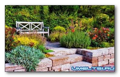 Раз ступенька, два ступенька Раз ступенька, два ступенька