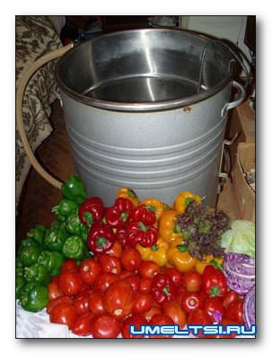 Соковыжималка центробежная своими руками Соковыжималка центробежная своими руками