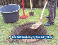 Домашний фонтан Домашний фонтан