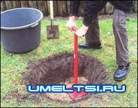 Домашний фонтан Домашний фонтан