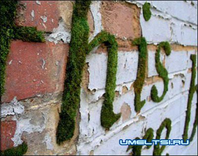 Граффити из мха