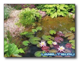 Садовый пруд: пошаговое изготовление своими руками