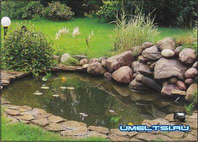 Пруд в саду Пруд в саду