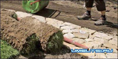 Газон своими руками