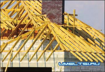 Основа скатной крыши