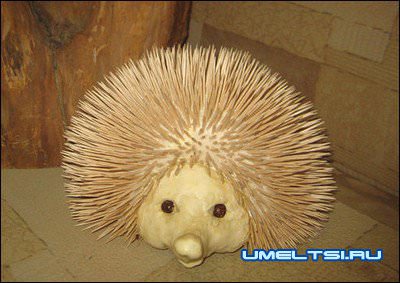 ежик