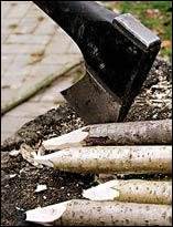 Плетень своими руками Плетень своими руками