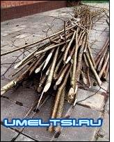 Плетень своими руками Плетень своими руками