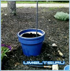 цветочная пирамида