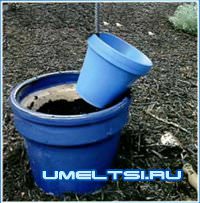 цветочная пирамида