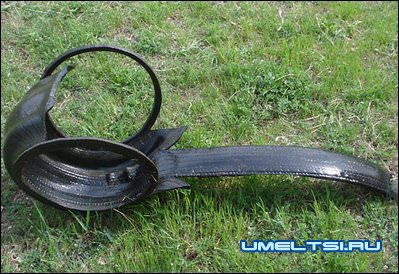 Попугай из покрышки