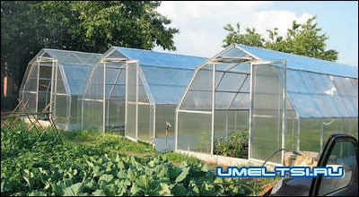 готовая работа