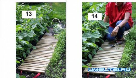 своими руками дорожка