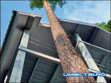 когда строите-берегите природу