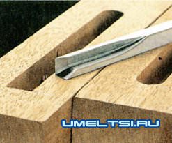 стаместка стаместка