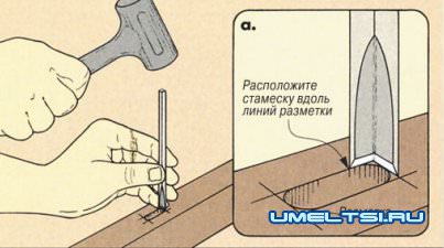 рейсмус рейсмус