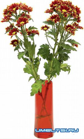 ваза из бутылки своими руками