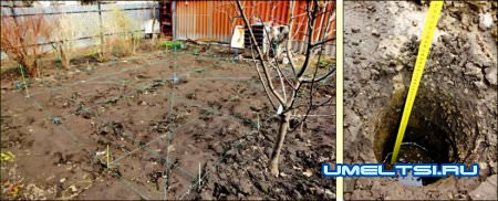 Теплица своими руками день первый