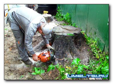 Корчевка пней своими руками Корчевка пней своими руками