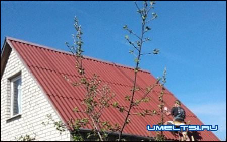 покраска шифера своими руками