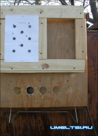 Мишень для пневматической стрельбы