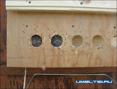 Мишень для пневматической стрельбы