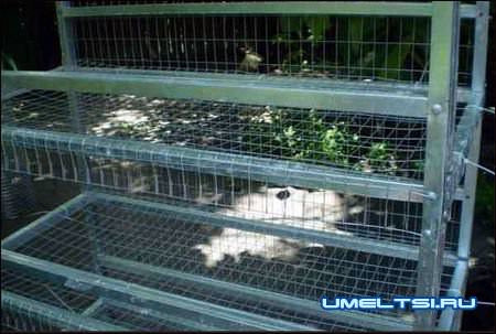 Клетки для перепелов