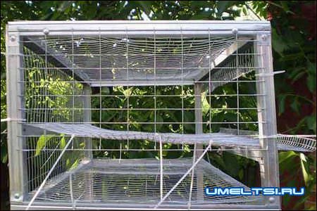 Клетки для перепелов