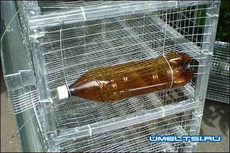 Клетки для перепелов-поилки