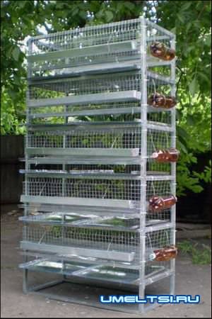 Клетки для перепелов-поилки