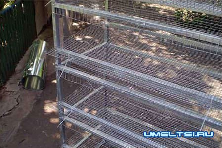 Клетки для перепелов
